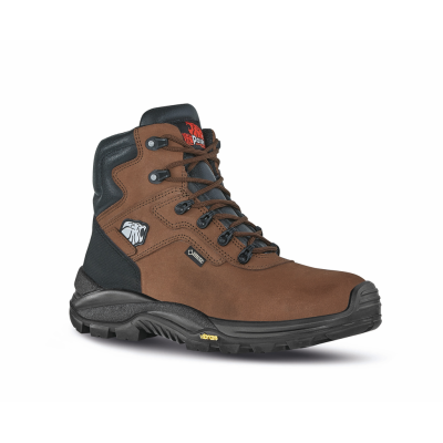 Climb GTX safety shoes